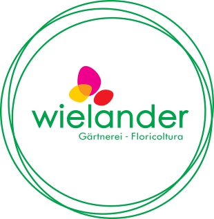 Wielander Logo Kreise 4C page 0001